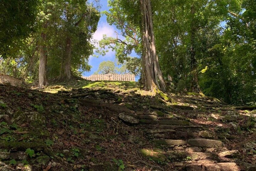 Picture 10 for Activity Bonampak & Yaxchilan archaeological sites & jungle
