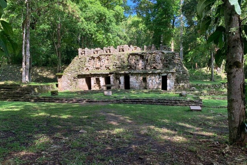 Picture 9 for Activity Bonampak & Yaxchilan archaeological sites & jungle