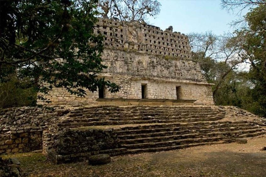 Picture 4 for Activity Bonampak & Yaxchilan archaeological sites & jungle