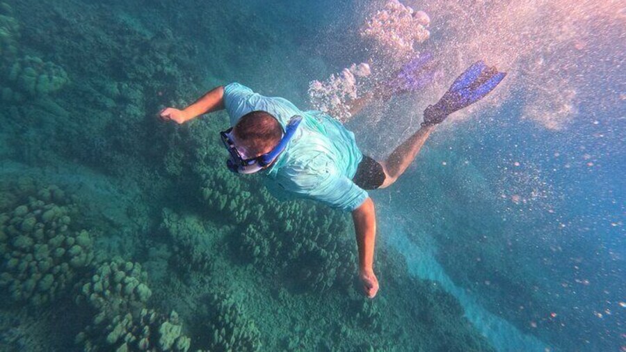Solo travelers loved and welcome on our Hanauma Bay guided snorkel tour!