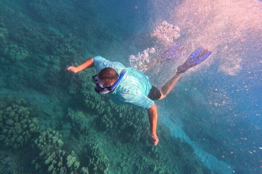 Solo travelers loved and welcome on our Hanauma Bay guided snorkel tour! 