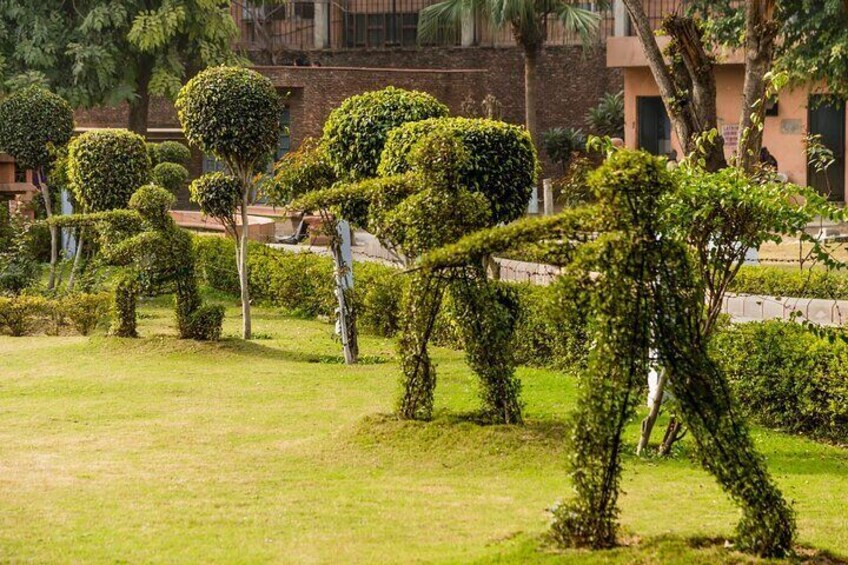 Topiary Hedge Figures in Jallianwala Bagh.