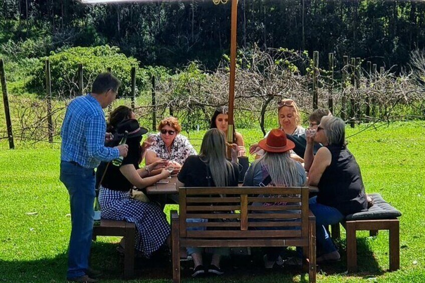 Wine Tasting