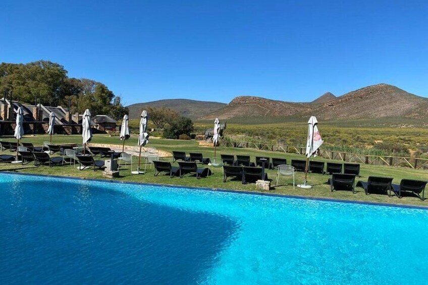 Cape Town Full Day Big 5 Game Reserve Safari with Lunch