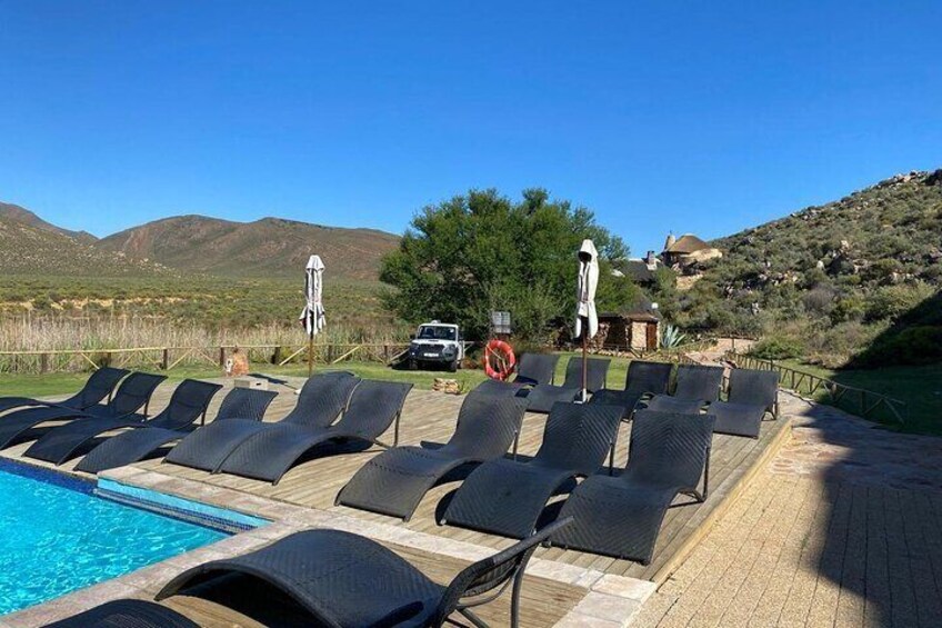 Cape Town Full Day Big 5 Game Reserve Safari with Lunch