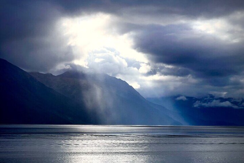 Private Alaskan Tour for Groups up to 15 Leaving from Anchorage