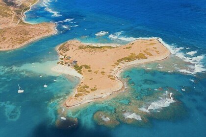 Visita guiada local con todo incluido a la isla Pinel