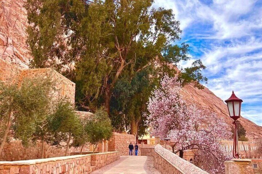Private Day Tour To Saint Catherine's Monastery By VIP MiniBus