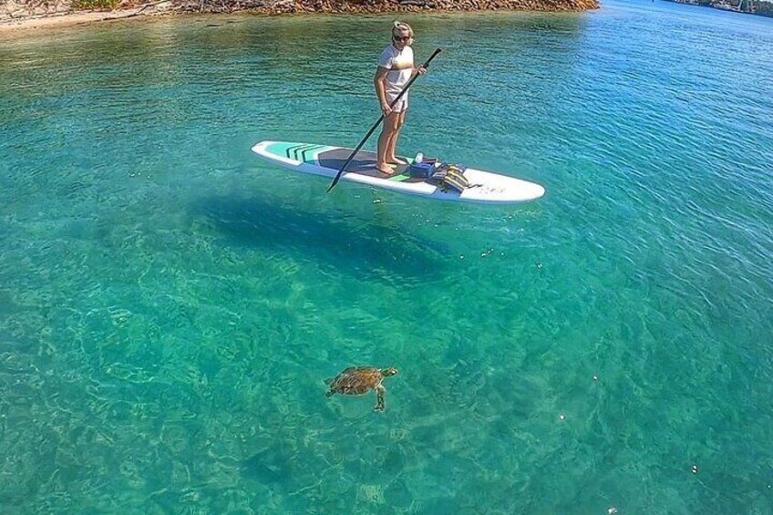 Paddle Boarding Activity to Peanut Island 