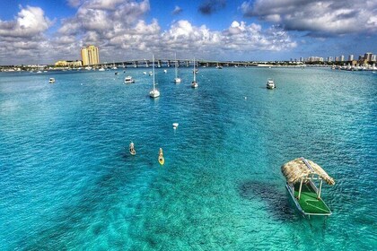 Paddle Boarding Activity to Peanut Island