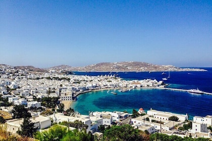 Private Mykonos Tour Tailor-Made | Choice of the guest