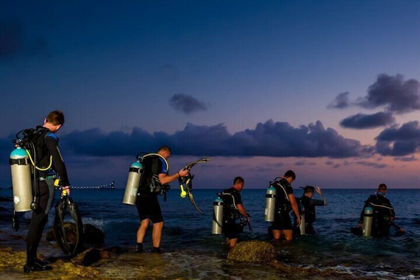 Night Beach Diving Experience with Transfer in Sharm El Sheikh