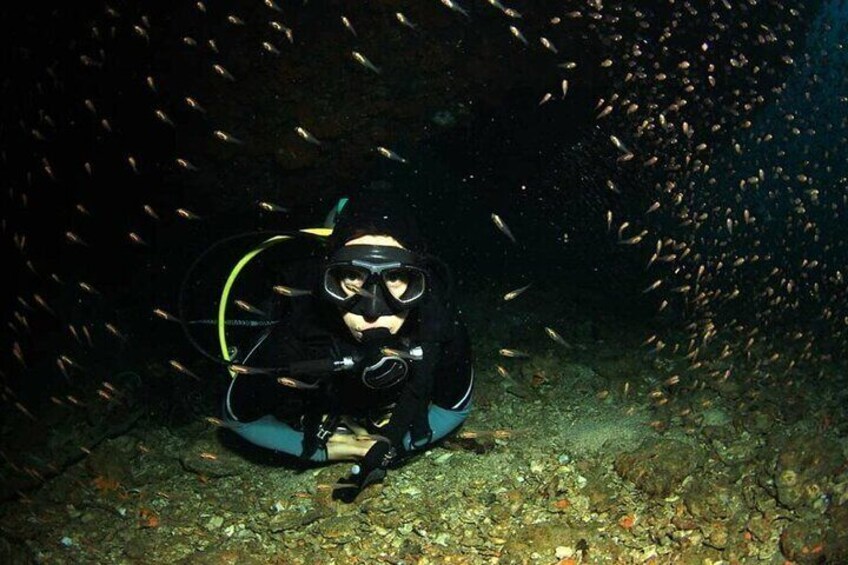 Night Beach Diving Experience with Transfer in Sharm El Sheikh