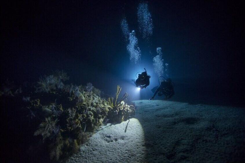Night Beach Diving Experience with Transfer in Sharm El Sheikh