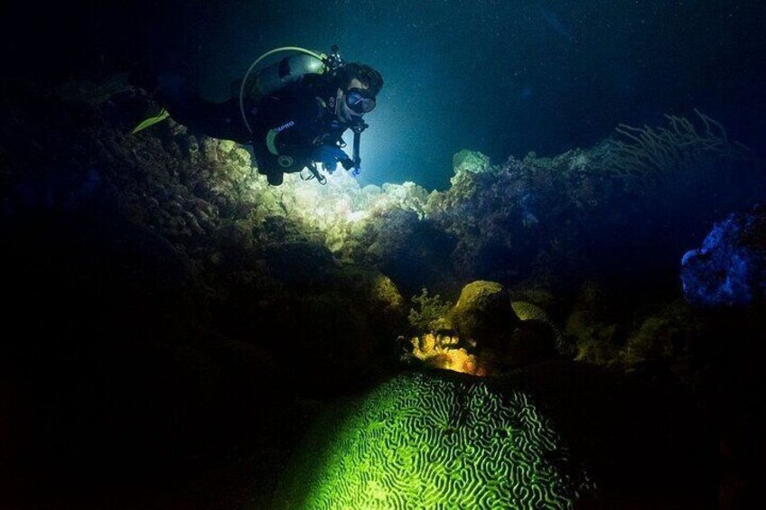 Night Beach Diving Experience with Transfer in Sharm El Sheikh