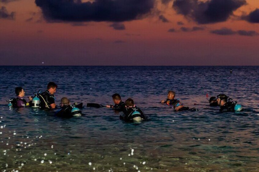 Night Beach Diving Experience with Transfer in Sharm El Sheikh