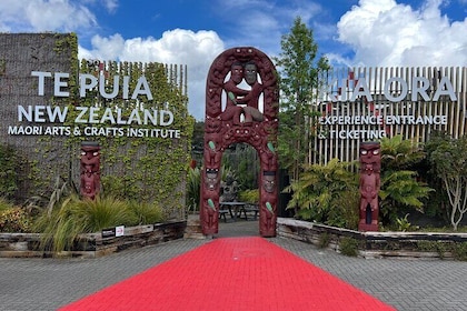 Te Puia Geothermal Valley & Maori Arts Day Tour from Auckland