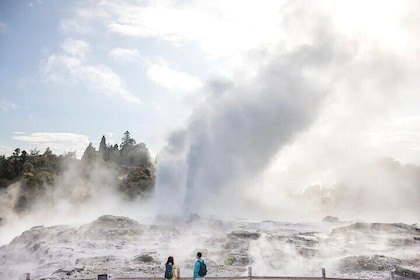 TE PUIA Geothermal, Polynesian Spa & Blue Springs Day Tour Ex AKL