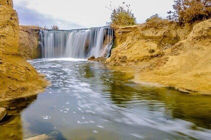 Whale Valley and Wadi El Rayan El Fayoum Day Tour from Cairo