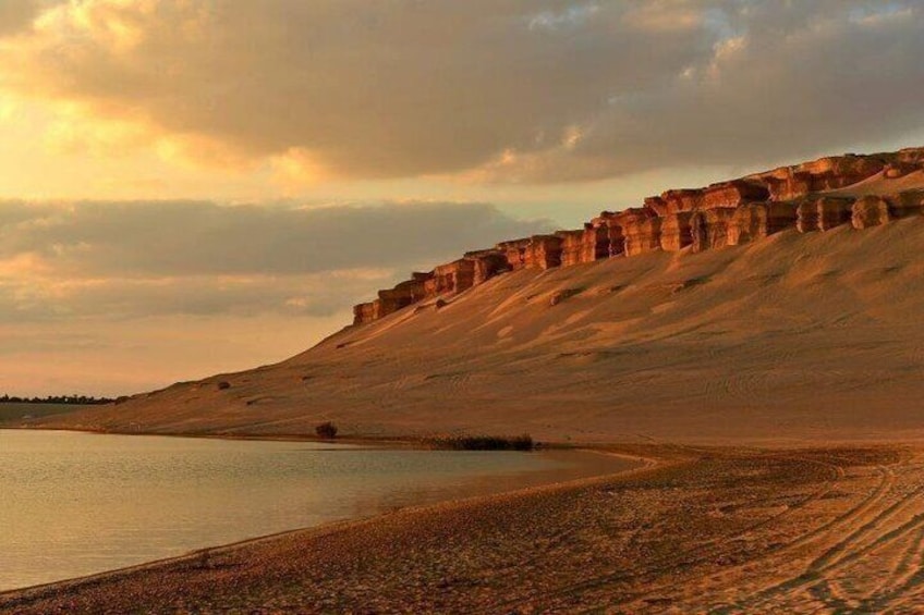 Whale Valley and Wadi El Rayan El Fayoum Day Tour from Cairo
