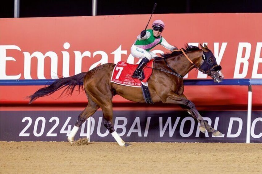 Dubai Horse riding at Meydan