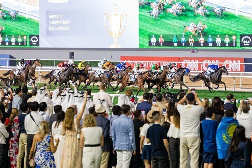 Dubai Horse riding at Meydan