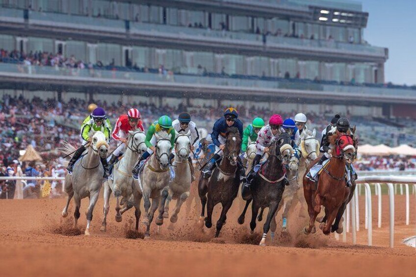 Dubai Horse riding at Meydan