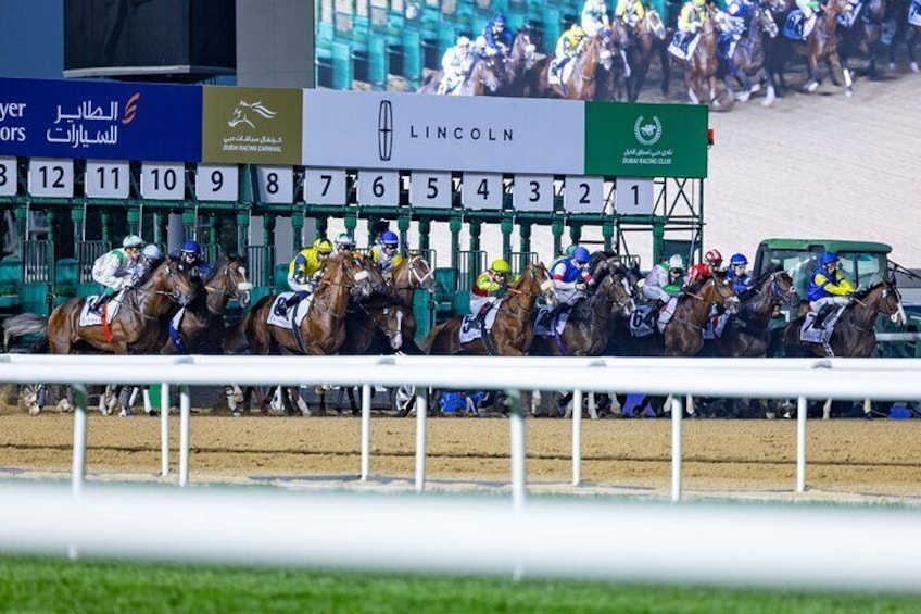 Dubai Horse riding at Meydan