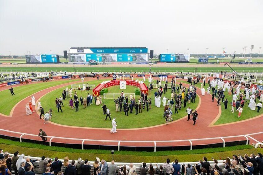 Dubai Horse riding at Meydan