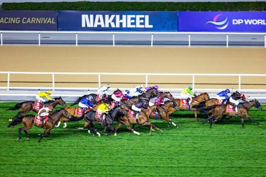 Dubai Horse riding at Meydan