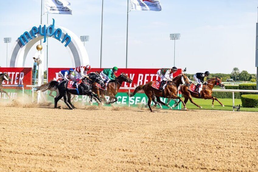 Dubai Horse riding at Meydan