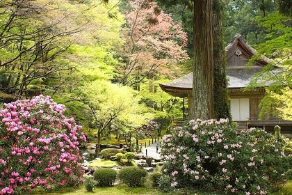 Rural Kyoto One Day Tour of a Tranquil Landscape in Ohara