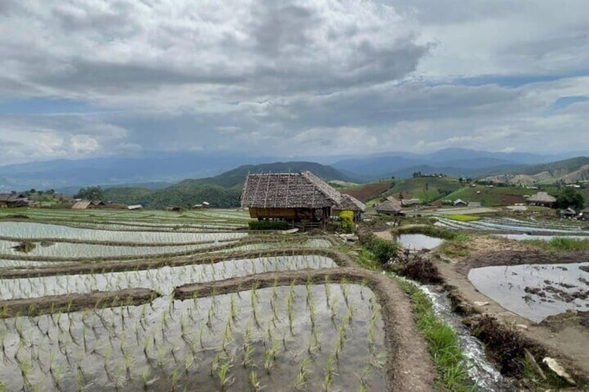 Chiang Mai Doi Inthanon Trekking and ATV Paradise Adventure