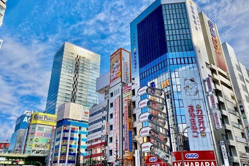 Experience Self Cycling Tour in Tokyo