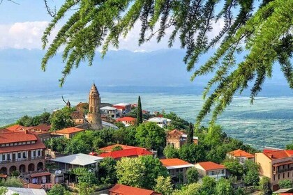 One Day Kakheti Tour with Wine Tasting and Free Churchkhela
