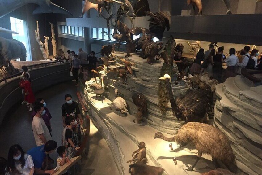 Shanghai Natural History Museum Tickets Booking