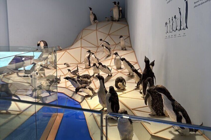 Shanghai Natural History Museum Ticket Booking