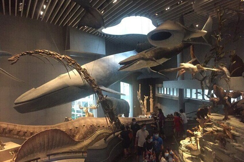 Shanghai Natural History Museum Ticket Booking