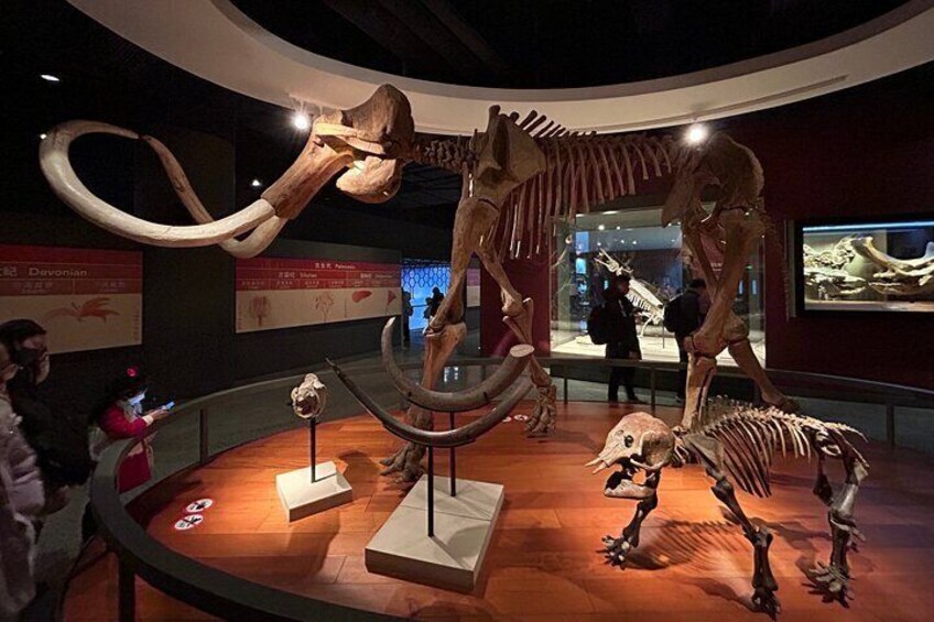 Shanghai Natural History Museum Ticket Booking