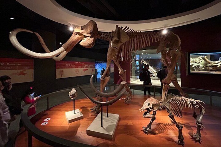 Shanghai Natural History Museum Ticket Booking