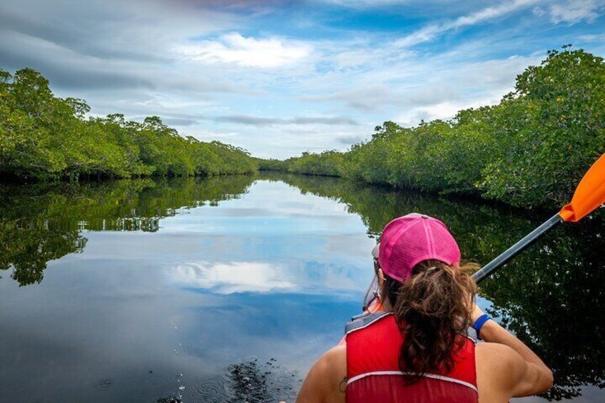 Full Day Adventure in Sechura from Desert to Mangroves