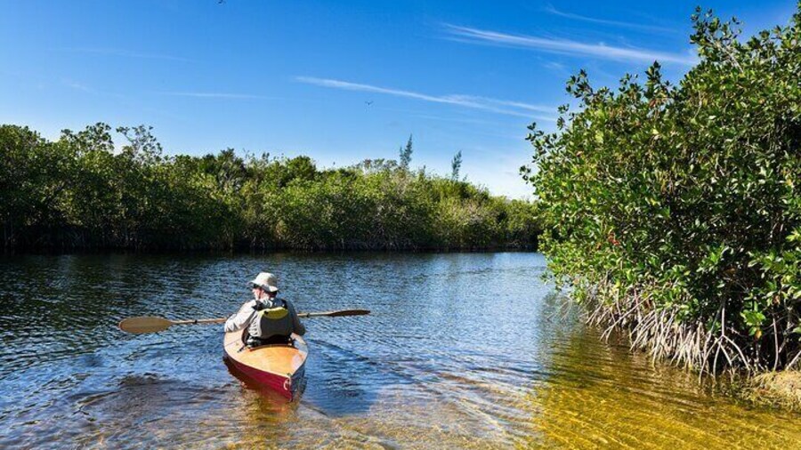 Mancora: Sechura - Desert to Mangroves Adventure