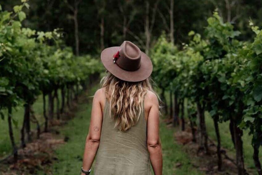 Premium Boutique Winery Tour (Limited to 6 People per Tour)