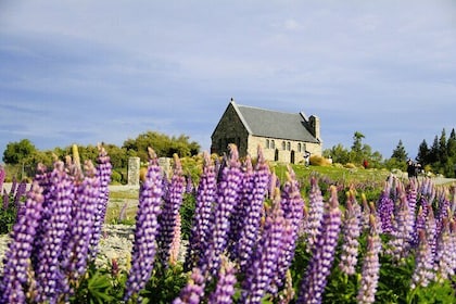 Mount Cook & Lake Tekapo 2-Day Stargazing tour from Christchurch