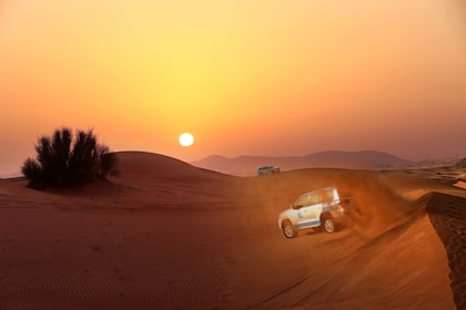 Dubai: Premium Red Dunes Safari og kameler i Al Marmoom Oasis