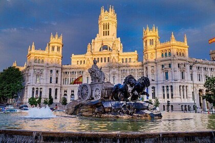 8 Hours Madrid Private Tour with Hotel Pickup and Drop