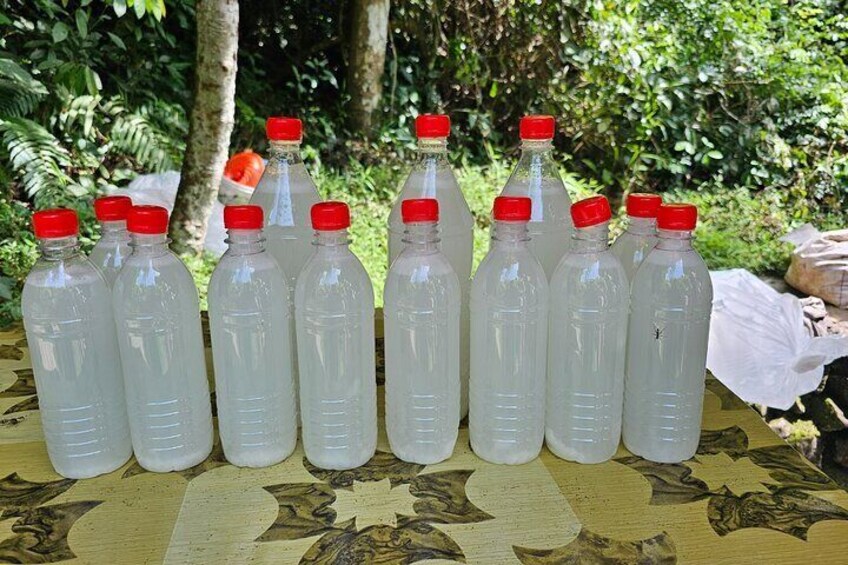 ATV Quad Bike Riding, Aburi Gardens and Water Falls