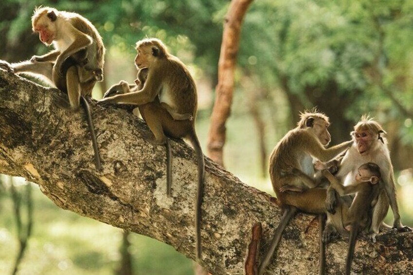  2 Days Sandoval's Secrets Tour in Tambopata Jungle