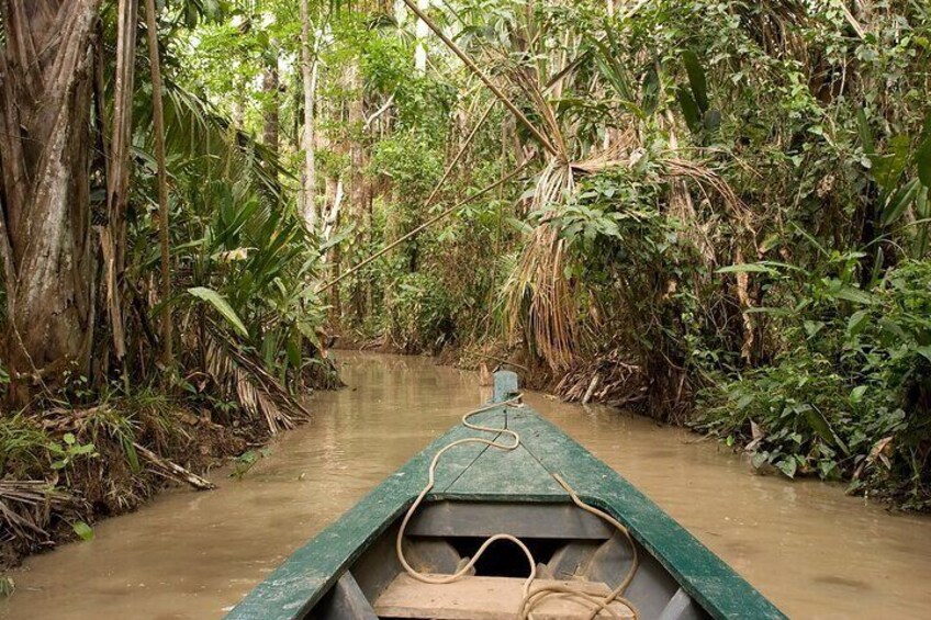  2 Days Sandoval's Secrets Tour in Tambopata Jungle