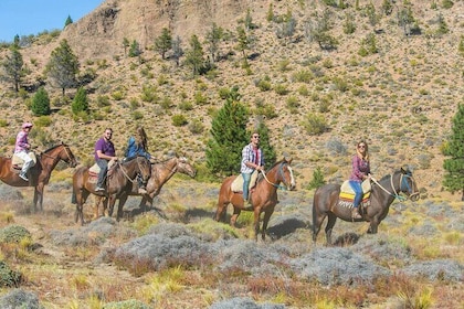 Bariloche Horseback Riding in the Patagonian Steppe with Argentine Roast